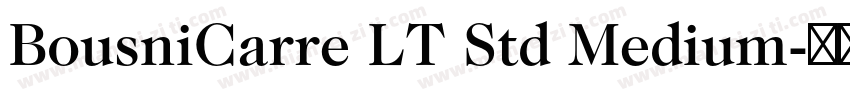 BousniCarre LT Std Medium字体转换